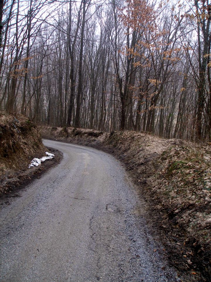 Ravna gora 14.4./1.4./9.3./2.3.2013 - foto povečava