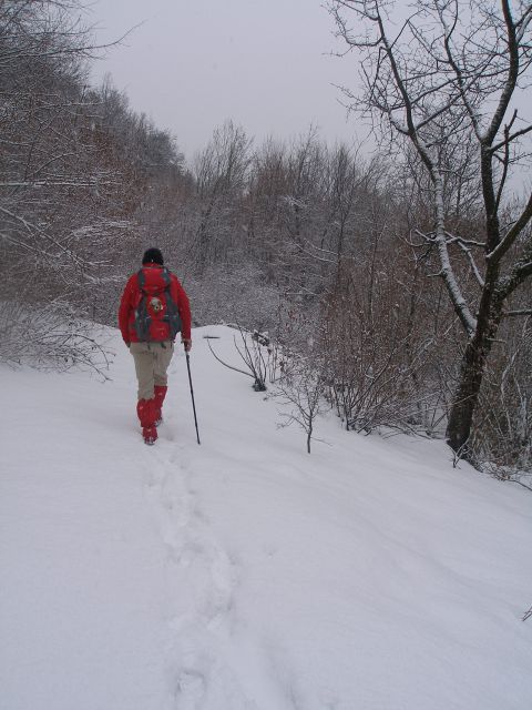 Tu gremo malce po brezpotju