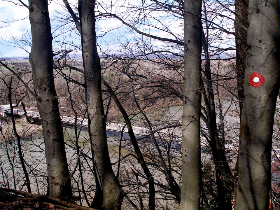 most pri Borlu,pogled z desnega brega Drave
