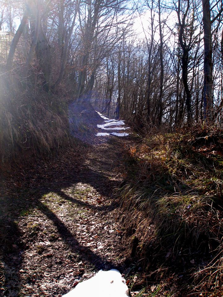 Mustrova razširjena pot/19.3.2013 - foto povečava