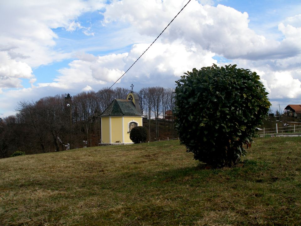 Mustrova razširjena pot/19.3.2013 - foto povečava