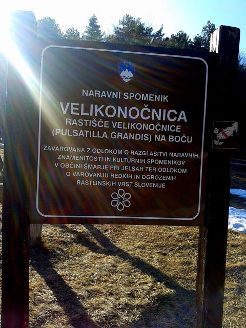 Takoj sem šel pogledat,kako zgleda......
