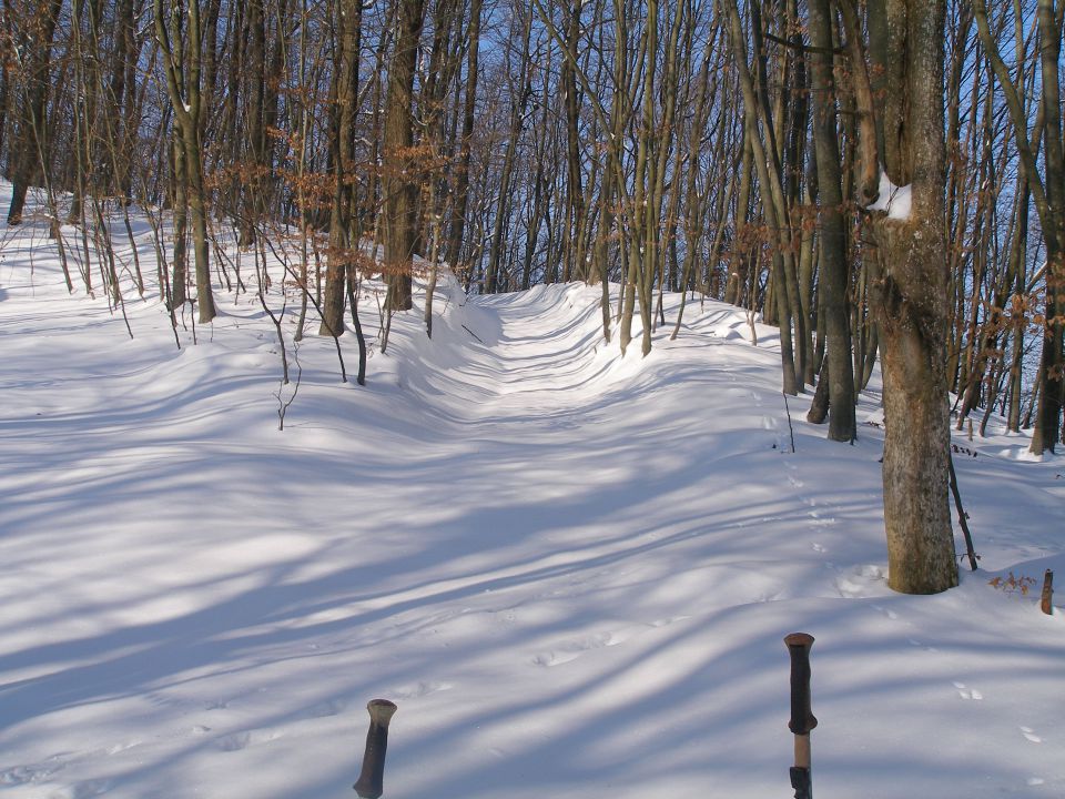 Po halozah prelepih 23.4./11.4./8.4./28.3.13. - foto povečava