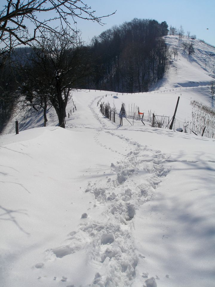 aha,tu se me je eden usmilil in naredil gaz :-)