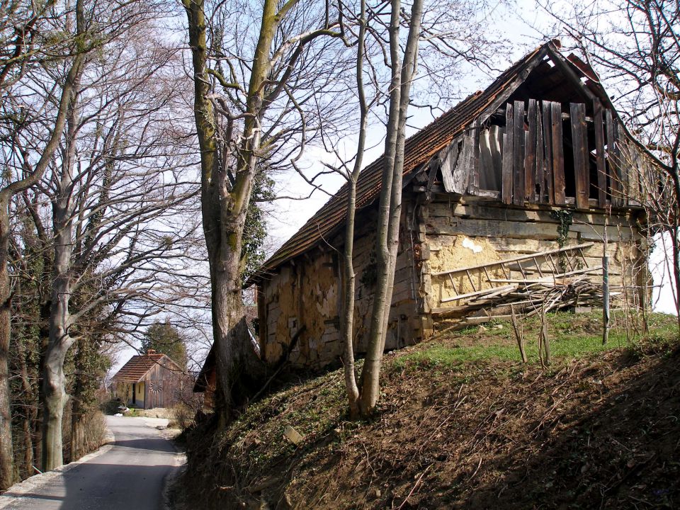 Po halozah prelepih 23.4./11.4./8.4./28.3.13. - foto povečava