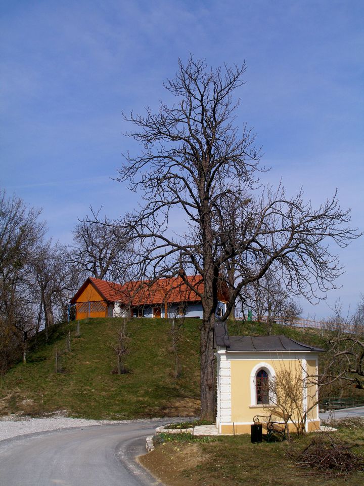 Po halozah prelepih 23.4./11.4./8.4./28.3.13. - foto povečava