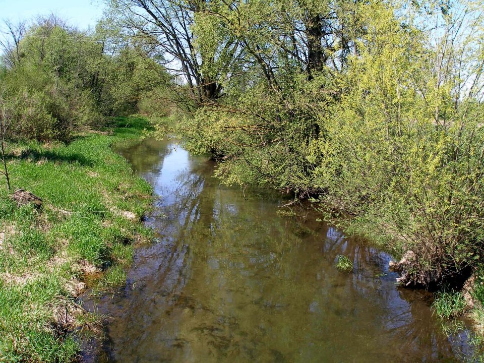 Gradišča-Ptuj 2013 - foto povečava