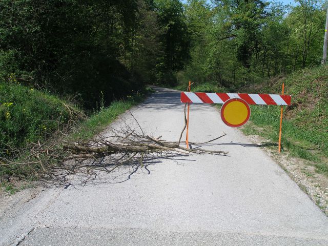 Zgleda,da se nič ne boga!