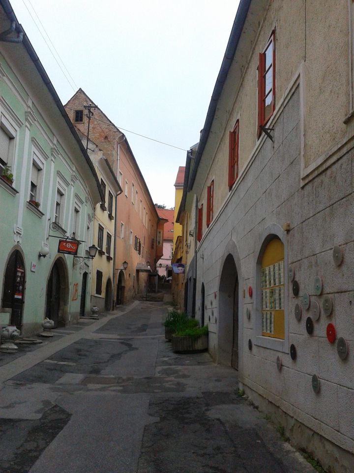 Gradišča-Ptuj 2013 - foto povečava