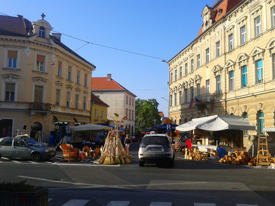 Gradišča-Ptuj 2013 - foto povečava