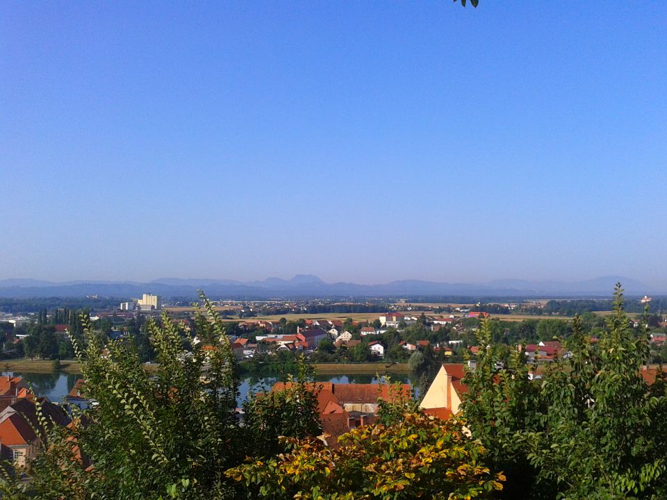 Gradišča-Ptuj 2013 - foto povečava