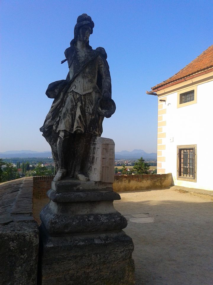 Gradišča-Ptuj 2013 - foto povečava