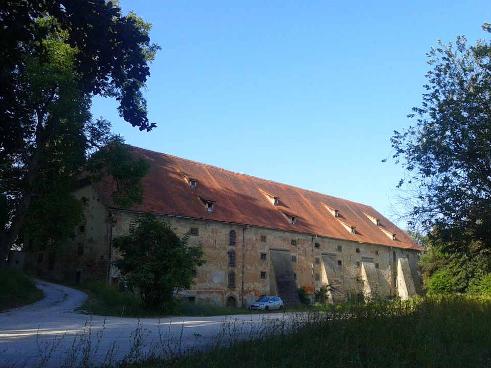 Gradišča-Ptuj 2013 - foto povečava