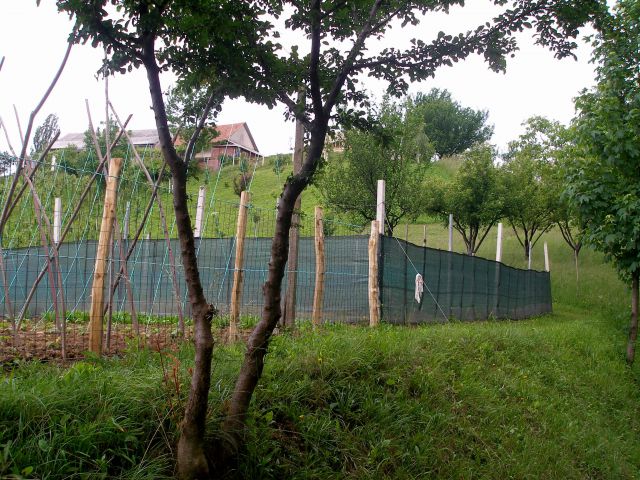 Zanimive ograde za srnjad