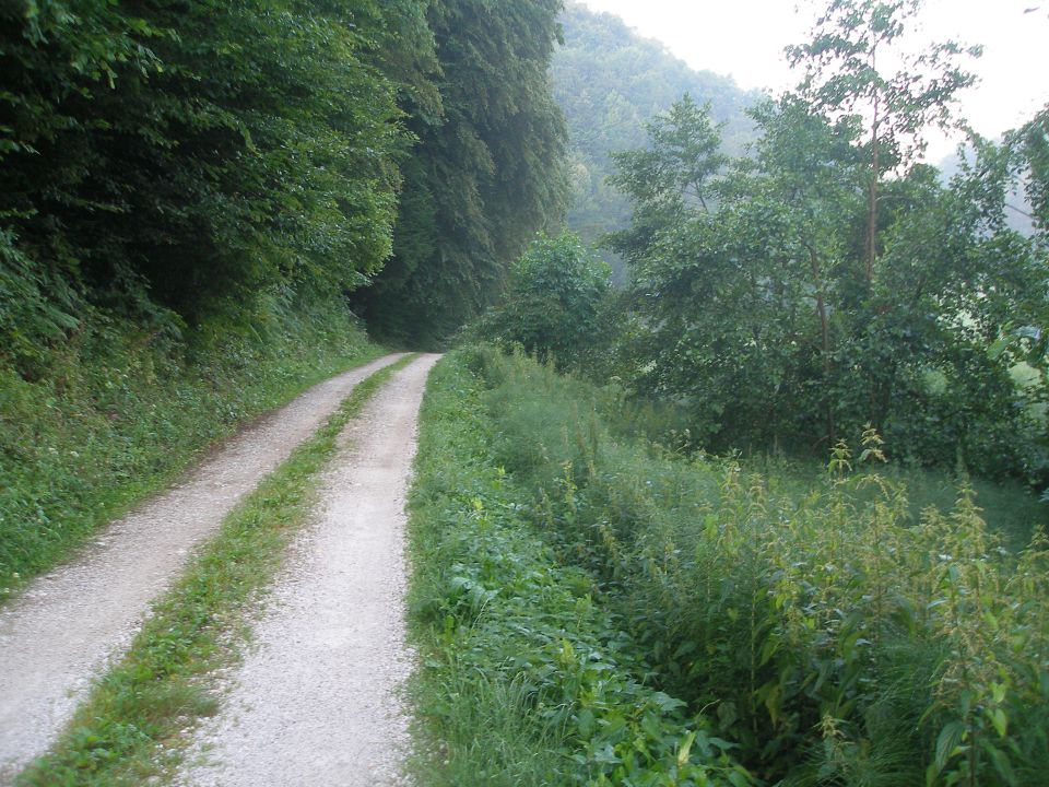 Gradišča - Ravna gora 17.7./9.7./14.5.2013 - foto povečava