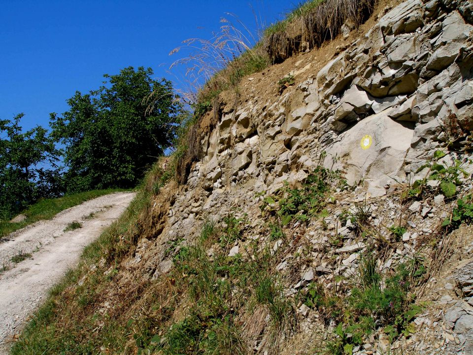 Gradišča - Ravna gora 17.7./9.7./14.5.2013 - foto povečava