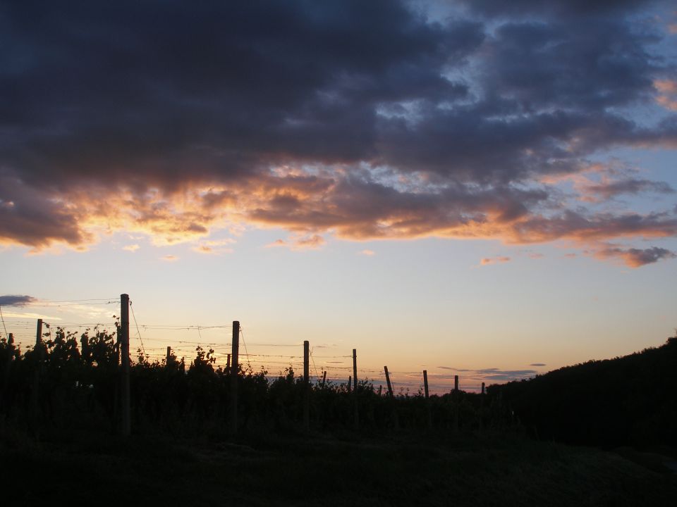 HPP Borl-Donačka gora 21.5.2013 - foto povečava