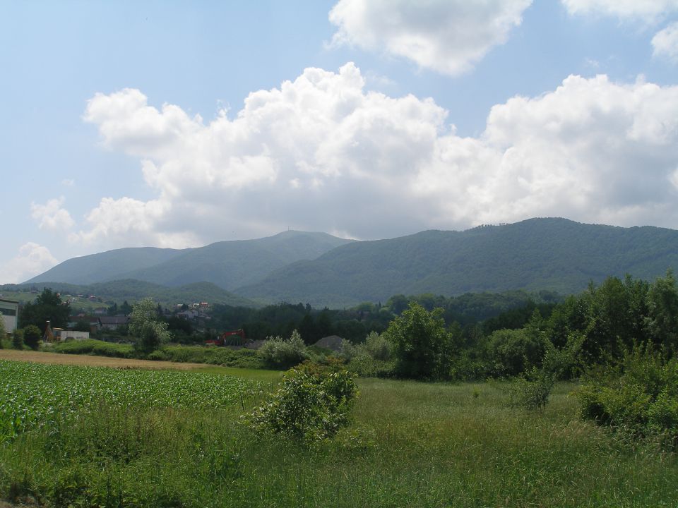 Gradišča-Ivanjščica 8.6.2013 - foto povečava