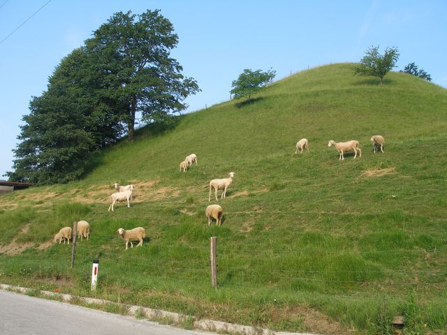 Gradišča-Donačka gora 16.6.2013 - foto