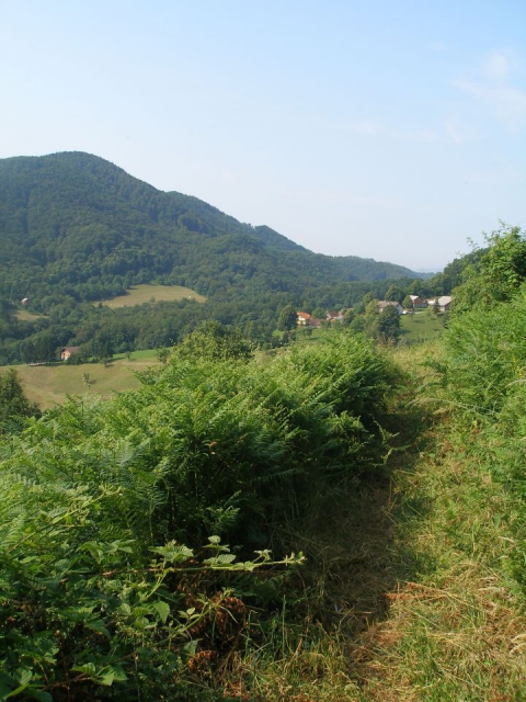 Planinska pot pokošena,hvale vredna