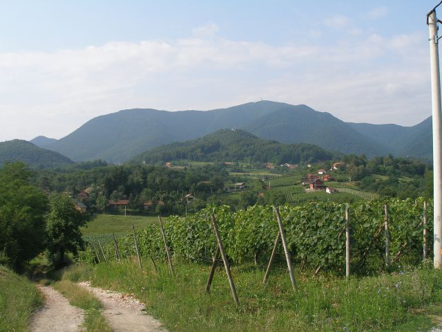Mimo vinogradov pod Ivanščico