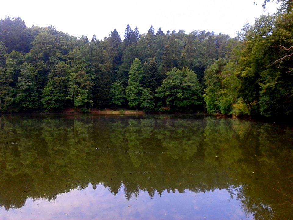 mirno in gladko,ko špegu