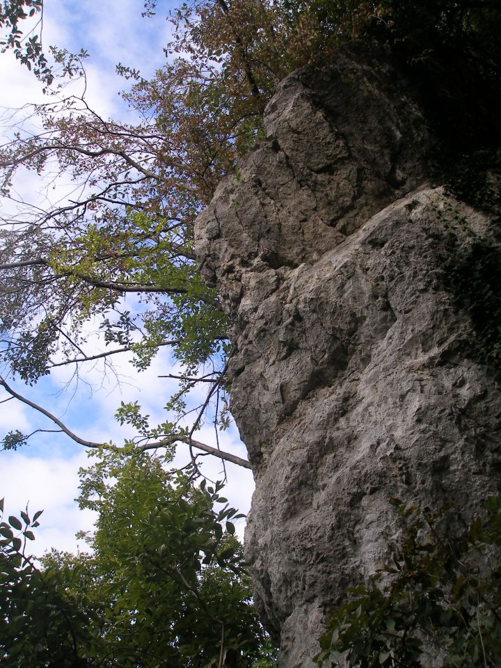  ravna gora 9. 5./2.10./18.9./25.7.2013 - foto povečava