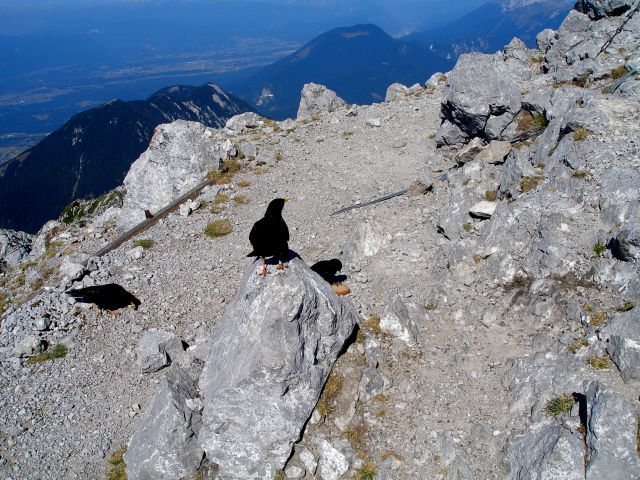 Storžič 12.8.2013 - foto