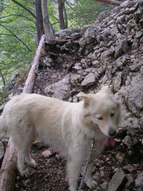 Vodnica me ma na štriku,da se nebi kam zvrnil.;)))