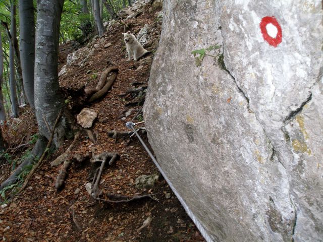 Gremo,gremo,kaj se čaka!