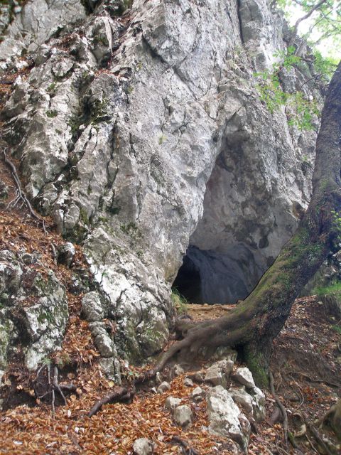 Balunjača