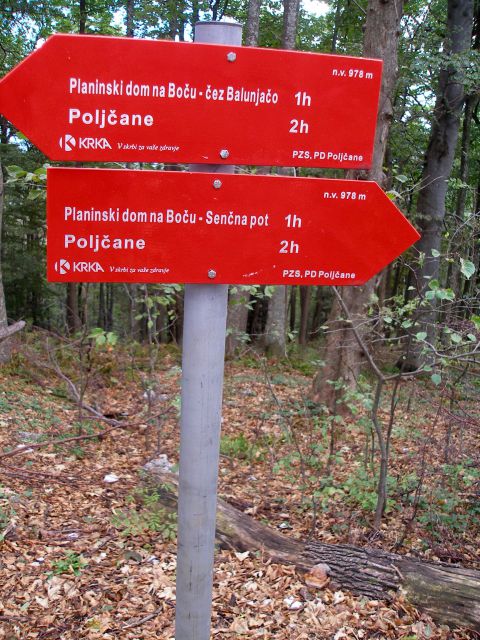 Dol se bova spustila po senčni poti