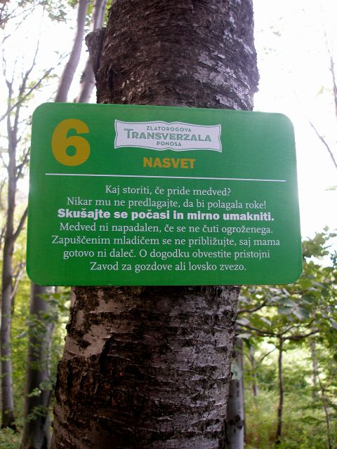 Napisat je lahko,v resnici je pa sila drugač