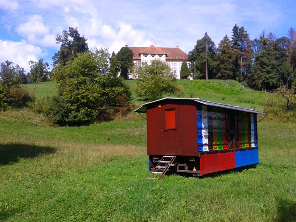 Boč 13.9.2013 - foto povečava