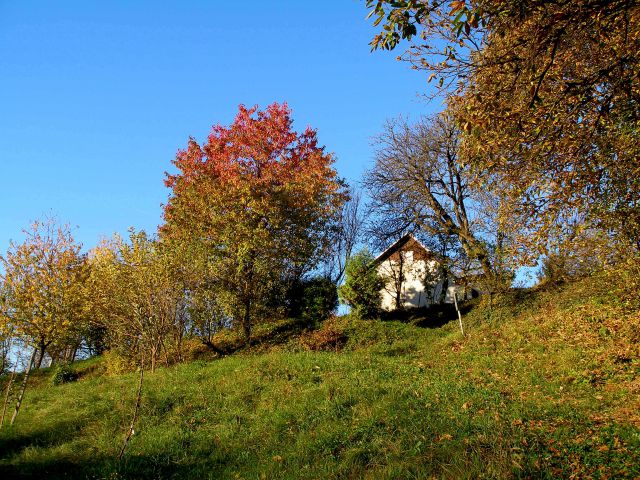 Nekje proti Avguštinu