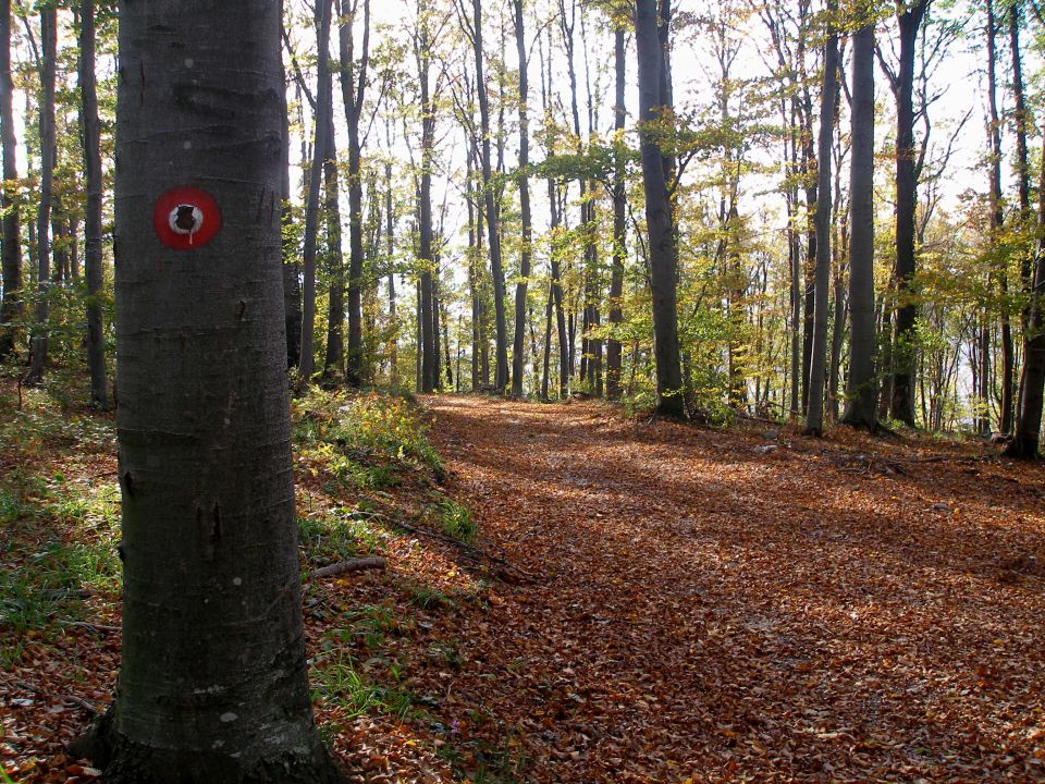 Gradišča - lepoglava 20.10.2013 - foto povečava