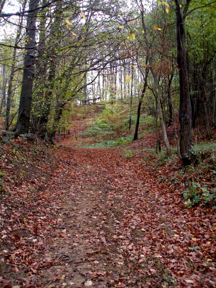 Gradišča - V.Varnica 6.11.2013 - foto povečava