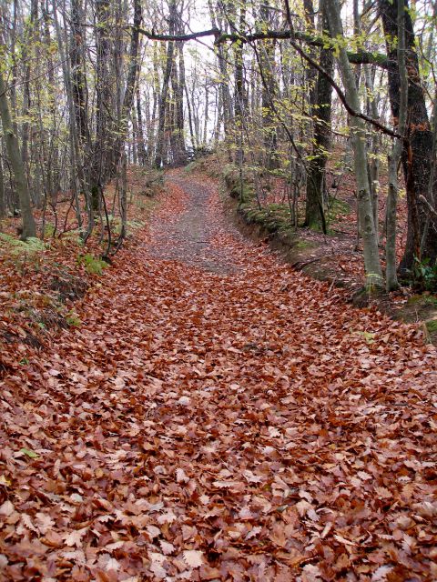 Gradišča - V.Varnica 6.11.2013 - foto