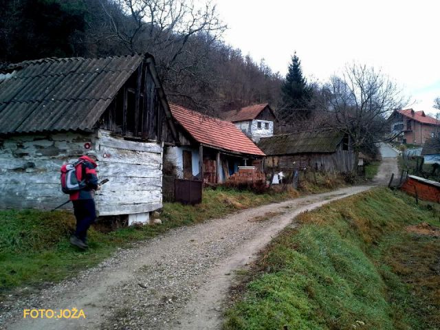 Ravna gora 18.11.8.6.1./1.2014 - foto