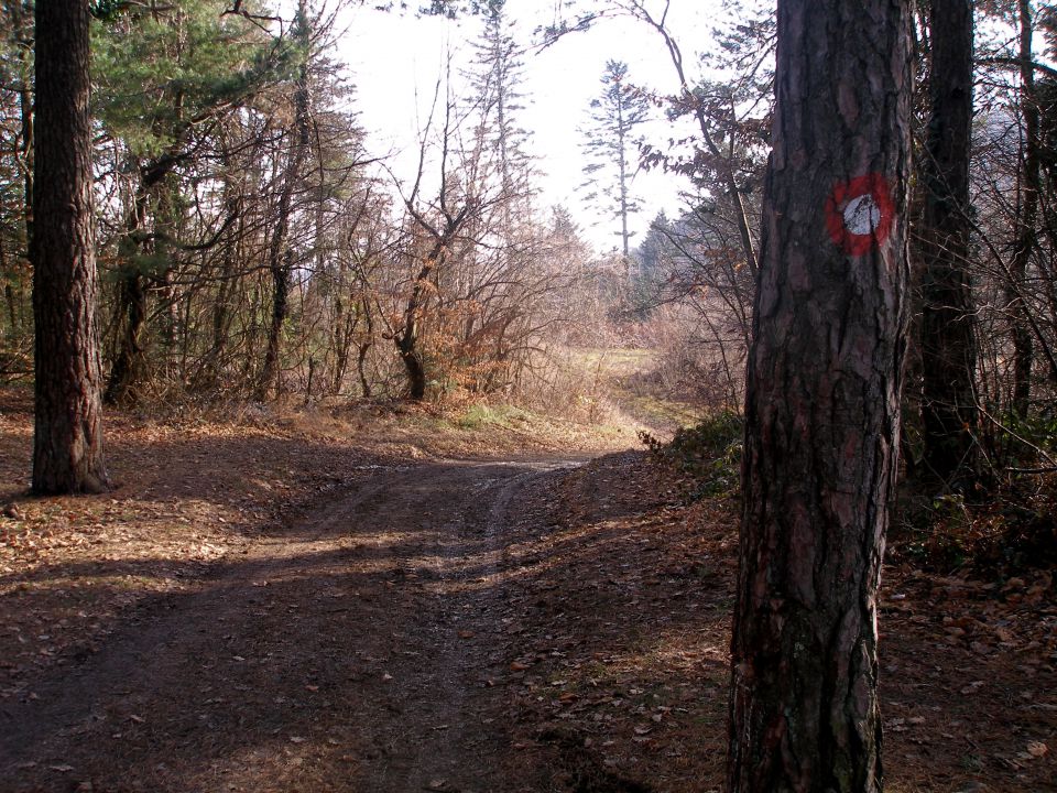 gremo naprej proti vrhu