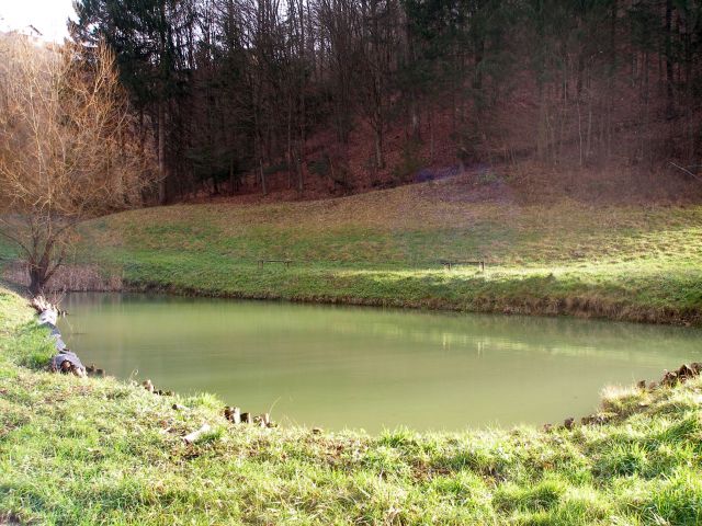 Mimo zelenega ribnika