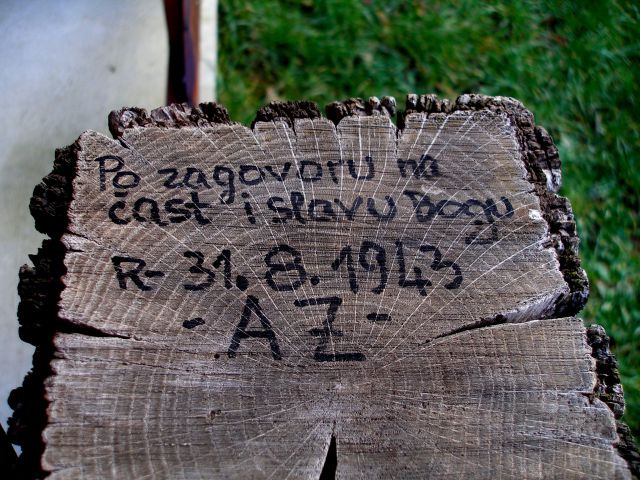 Brezova gora 16.01.2014 - foto