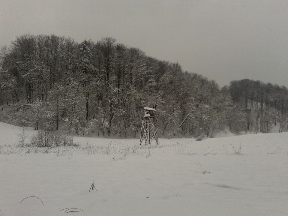 in jagrske preže