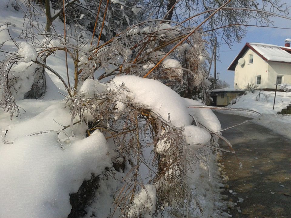 GRS - Haloze2014 - foto povečava