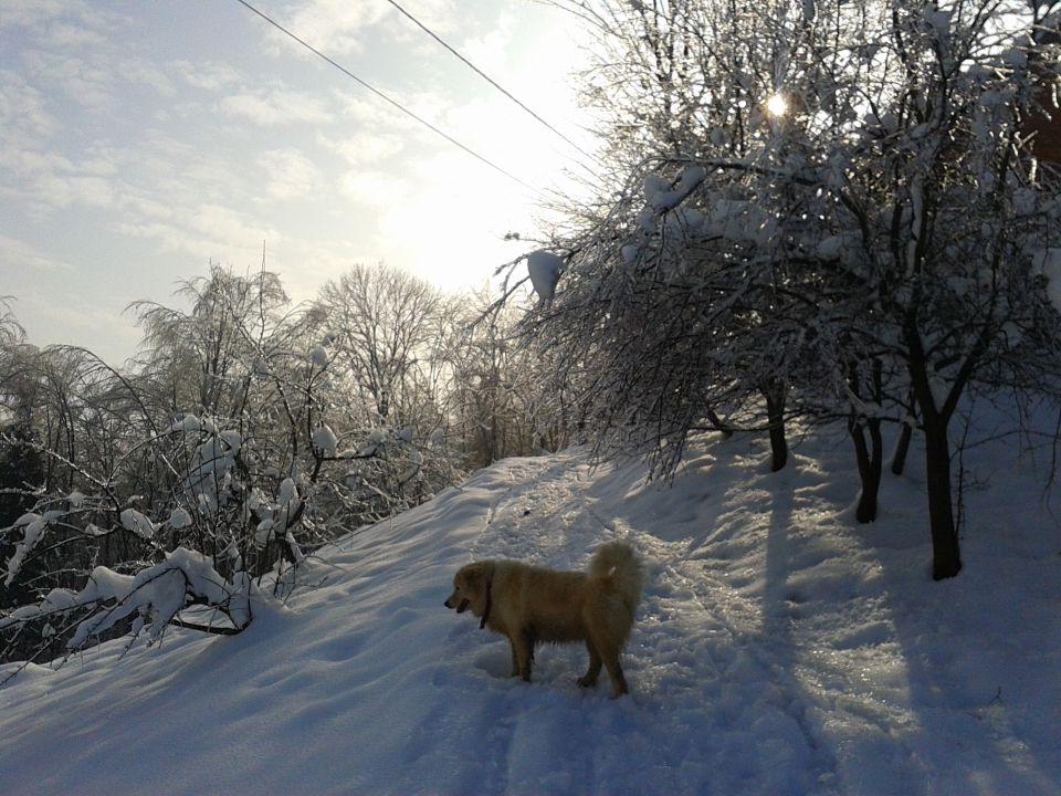 GRS - Haloze2014 - foto povečava