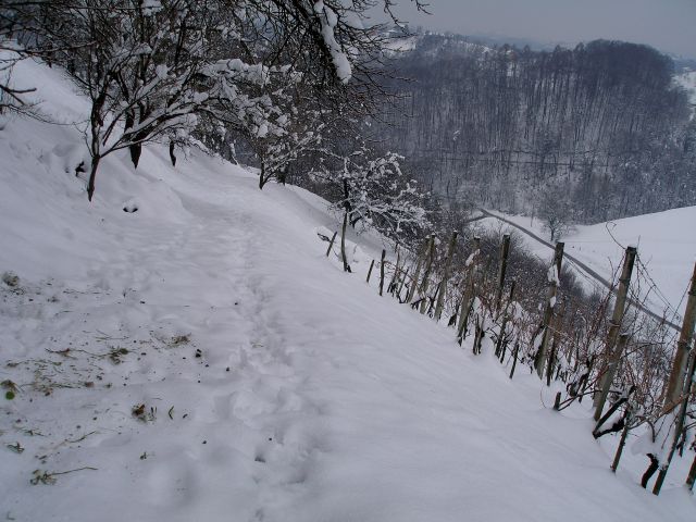 Po skorjastemu snegu v dolino