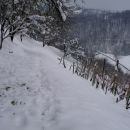 po skorjastemu snegu v dolino