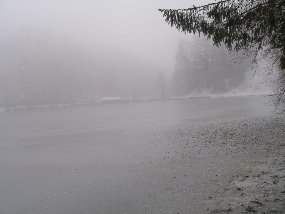 Trakoščan 5.3./6.2. 2014 - foto povečava