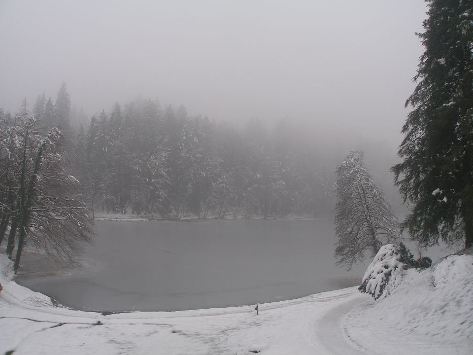 Trakoščan 5.3./6.2. 2014 - foto povečava