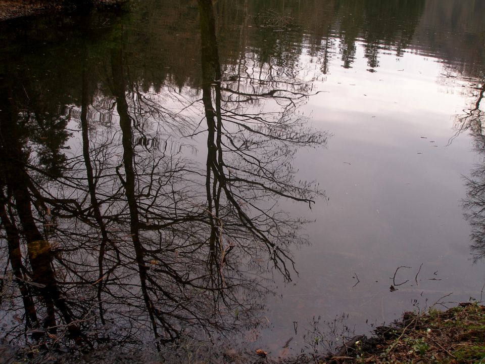 Trakoščan 5.3./6.2. 2014 - foto povečava